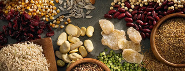 10 Inspiring Blogs for Gluten-Free Food & Cooking